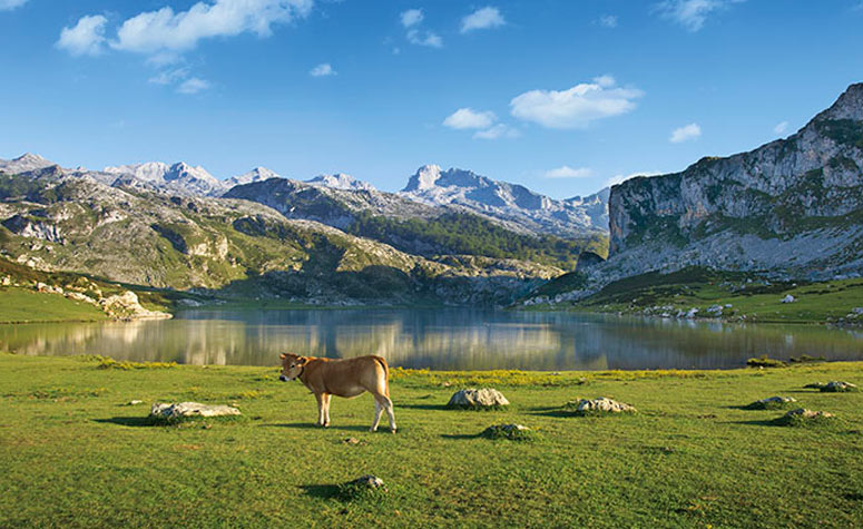 picos-europa